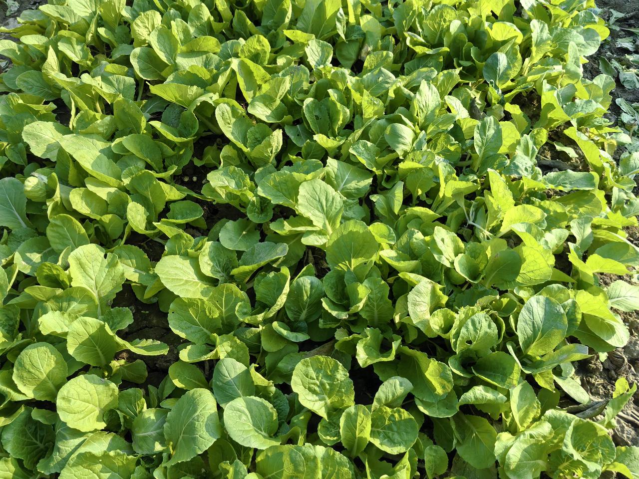 一个女人最可贵的品质是什么？我老公说我最可贵的是通情达理。

结婚20多年，我和