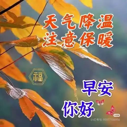 早上好，今天是10月3日星期六。
亚运会男排半决赛，中国男排2-3不敌日本二队！