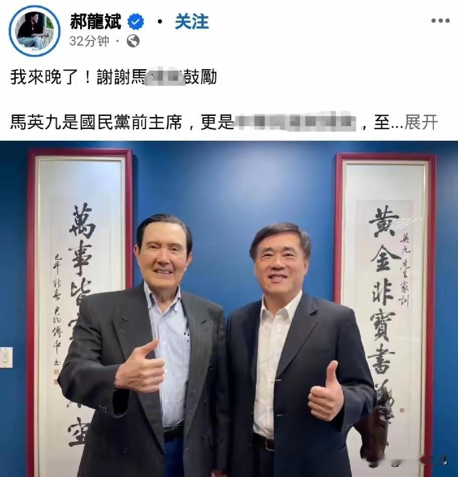 马英九支持郝龙斌。这是国民党宫廷派的一个共同选择。马成事不足 败事有余，错过8年