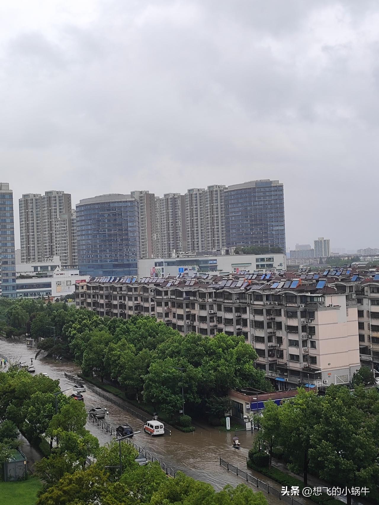今天这狂风暴雨，全是拜“白海豚”的威力！
看看楼下到处都是积水，都不敢出门了，没