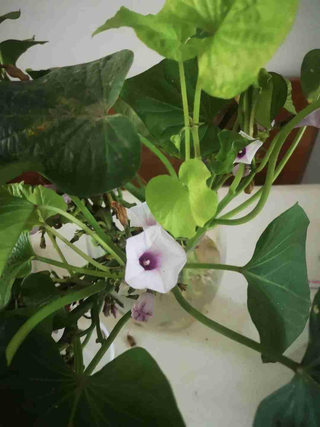 我的今日状态：😁轻松愉快
我这里的天气：❄️下雪