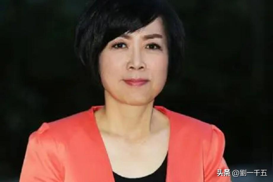 黄智贤曾说，“大陆的底层老百姓，像农民、外卖员、小摊小贩等等，人人都愿意为国家尽