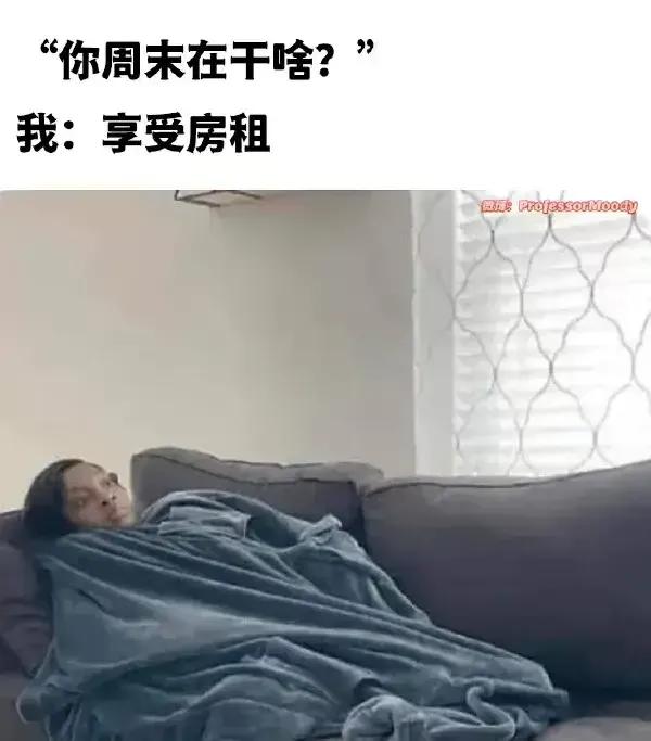哈哈哈哈，是我了[狗头]