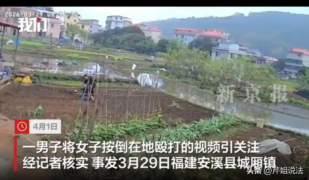 泉州，许先生看到黄女士又在争议地里农作，跑过去直接开始骂，黄女士赶紧拿起手机想要
