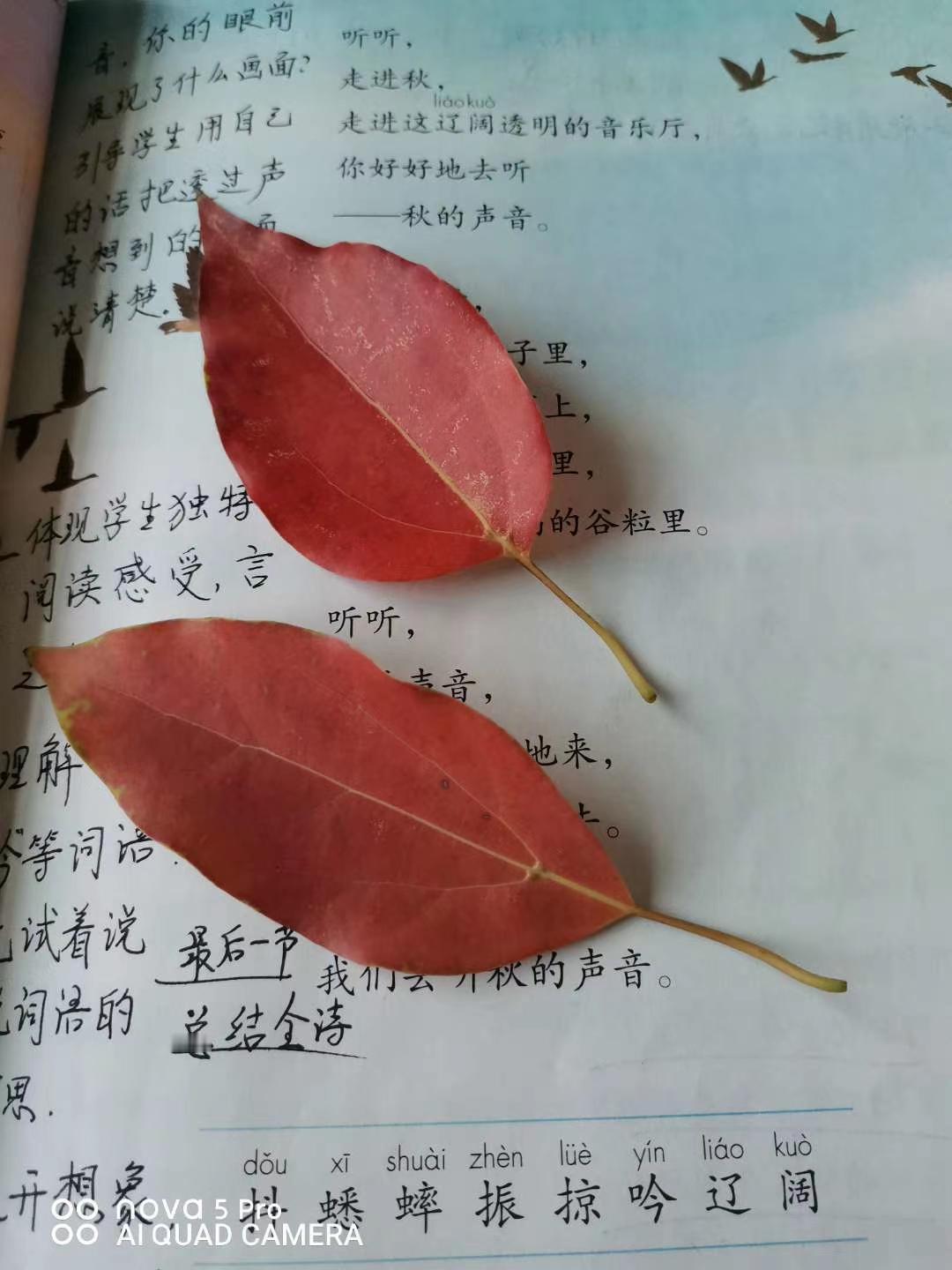 教师下课的时候布置作业，让学生把作业做完，上课，教师直接讲题。这种做法看起来。节