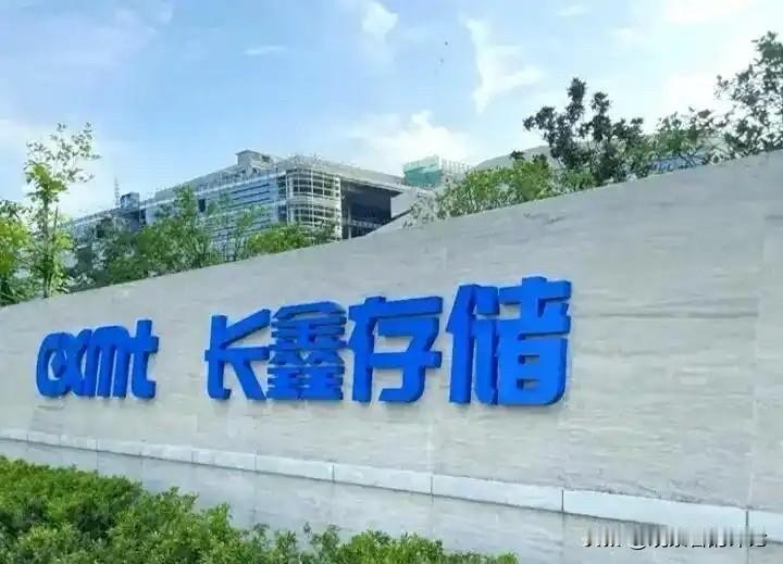 长鑫存储，国产DRAM龙头，全球DRAM份额约4%-9%。近期该公司上市，市值登