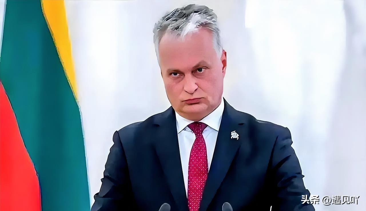 3月21日立陶宛的一项民调，数据看着挺滑稽。

有58%的受访者支持把那个所谓“