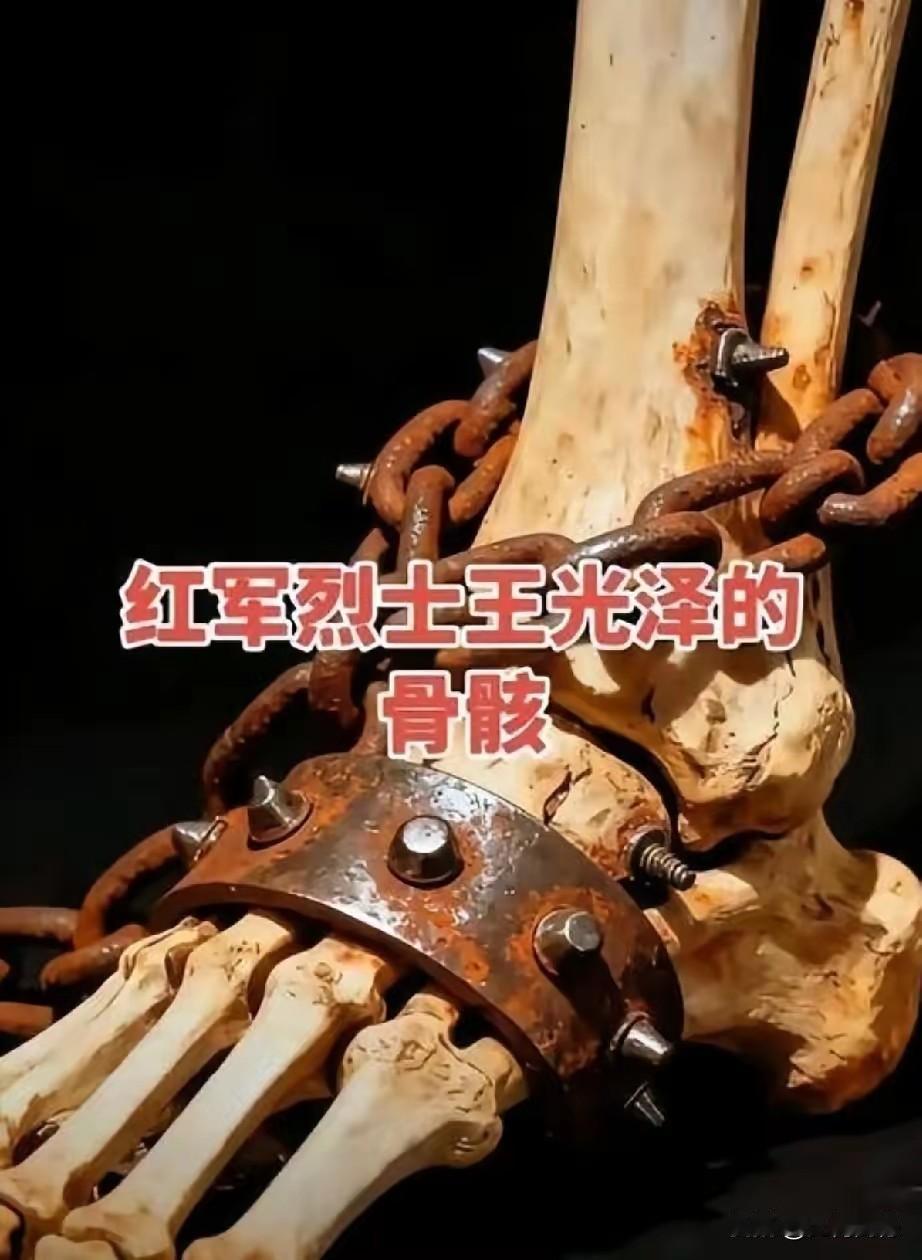 这是红军烈士的腿脚骨，当被挖掘出来的时候，手踝骨上还钉着钢钉，戴着锁链，由此可以