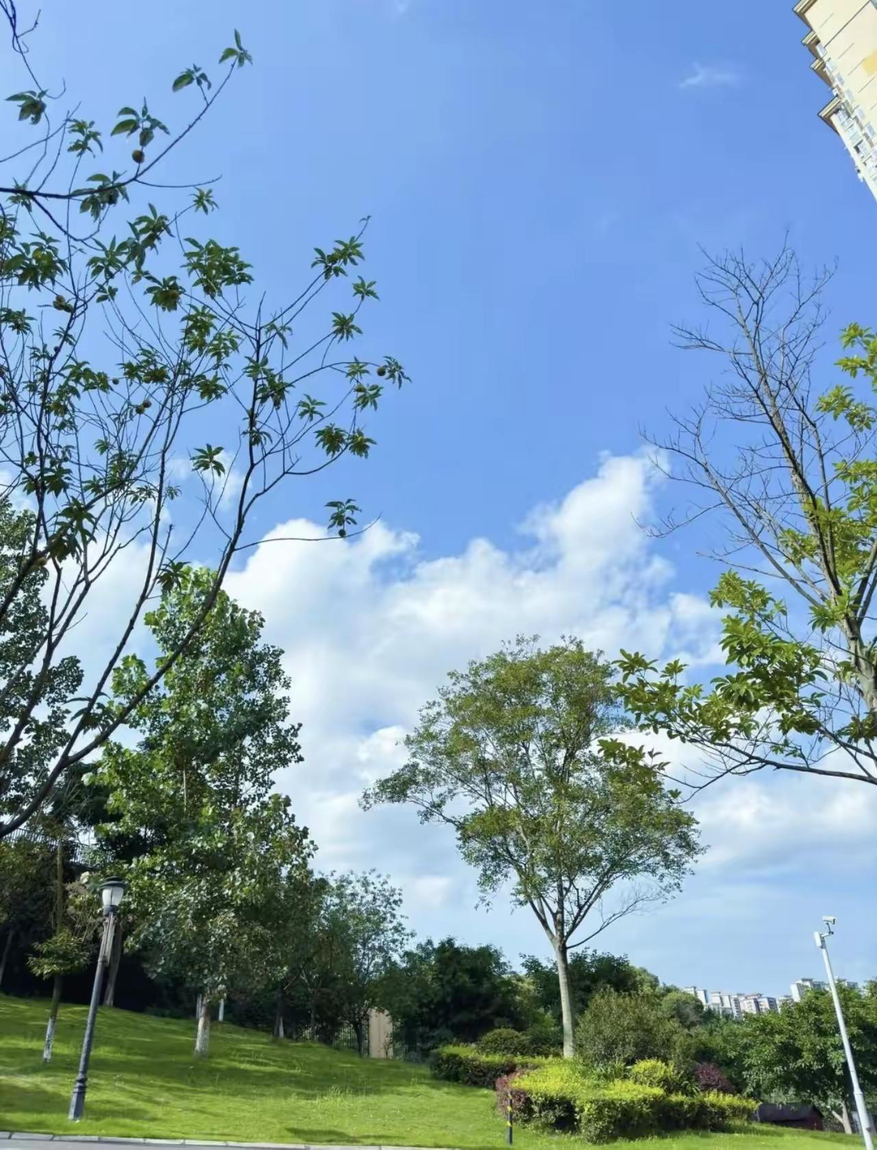 我发现怕死的老人，身上都有这7个普遍现象：

第一，没吃过伺候老人的苦
年轻时没