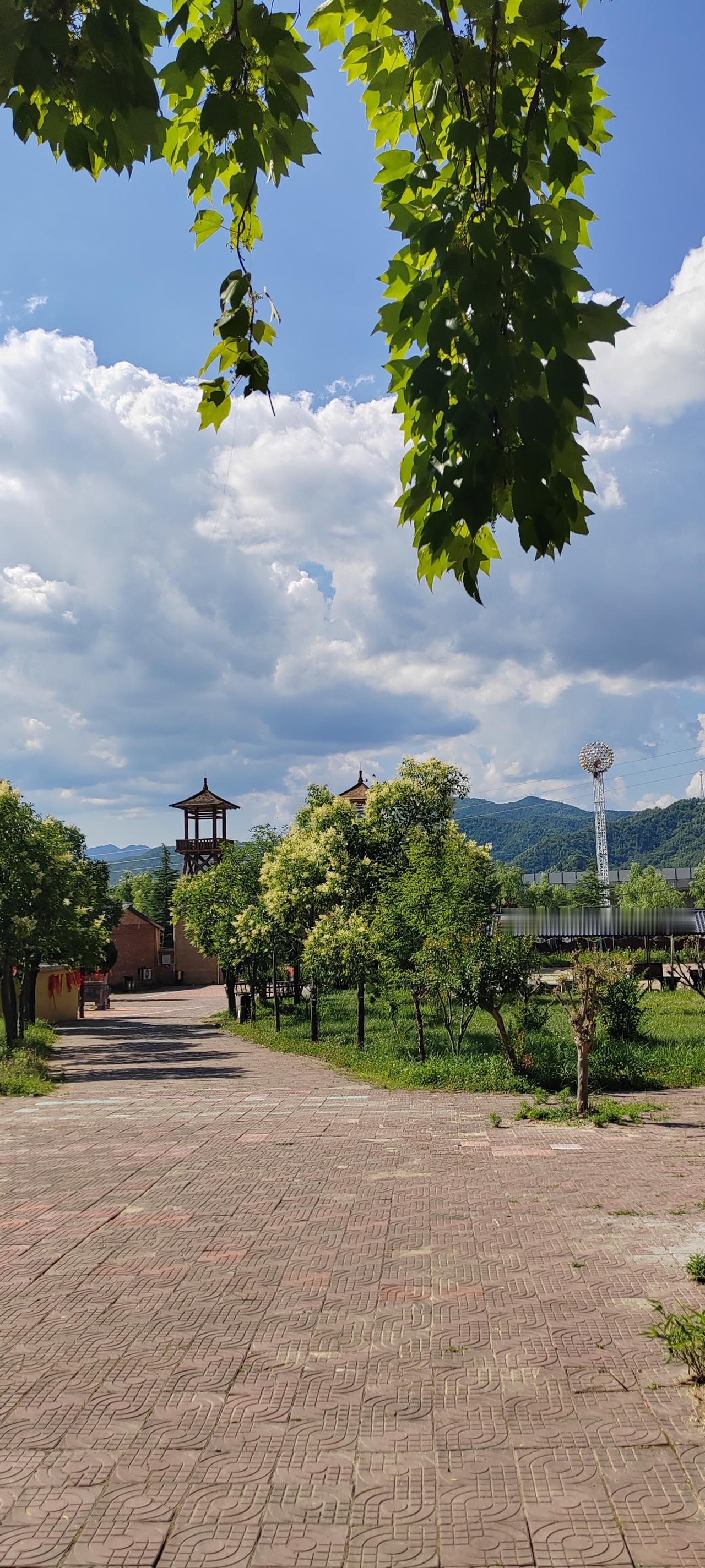这才叫清醒！外出旅游住宾馆时，老板拿着两本厚厚书正在为孩子志愿发愁，我说我懂这方