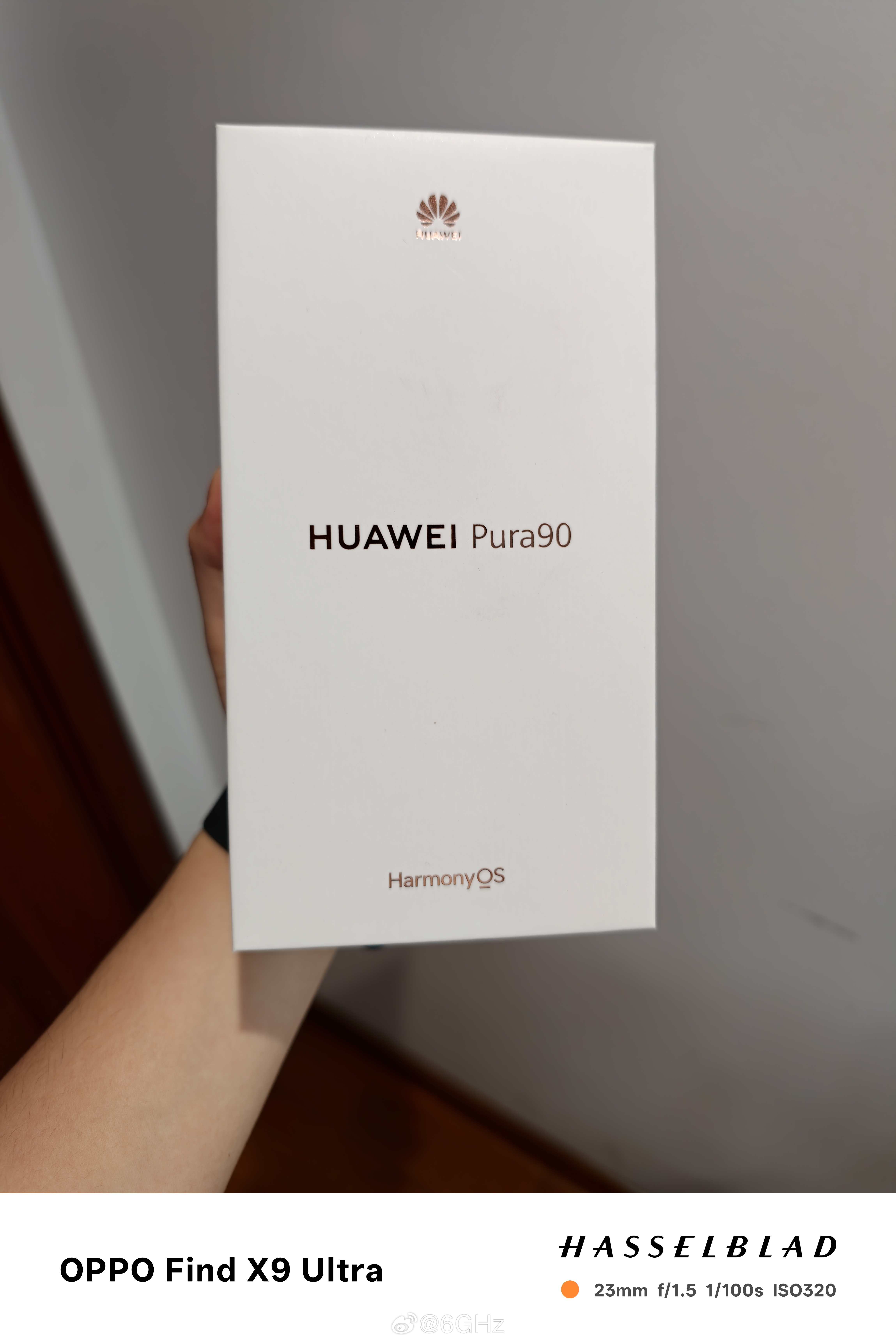 又到祸啦兄弟们