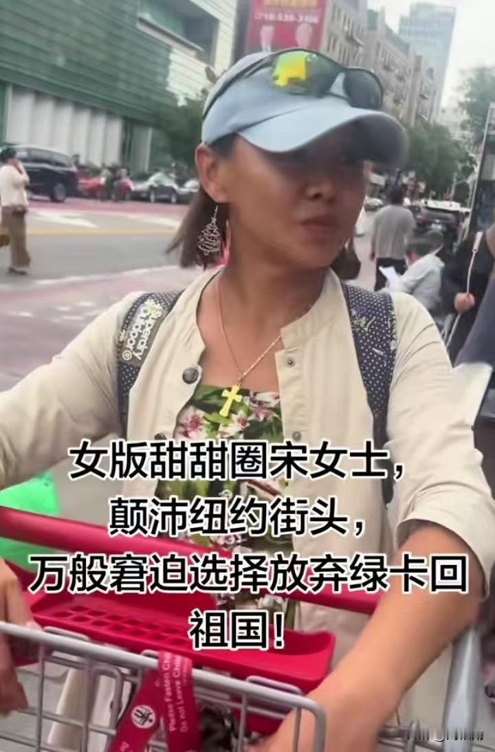 长春的宋女士，曾执着追逐虚无的海外梦，历尽波折拿到绿卡，最终却落魄漂泊纽约街头，