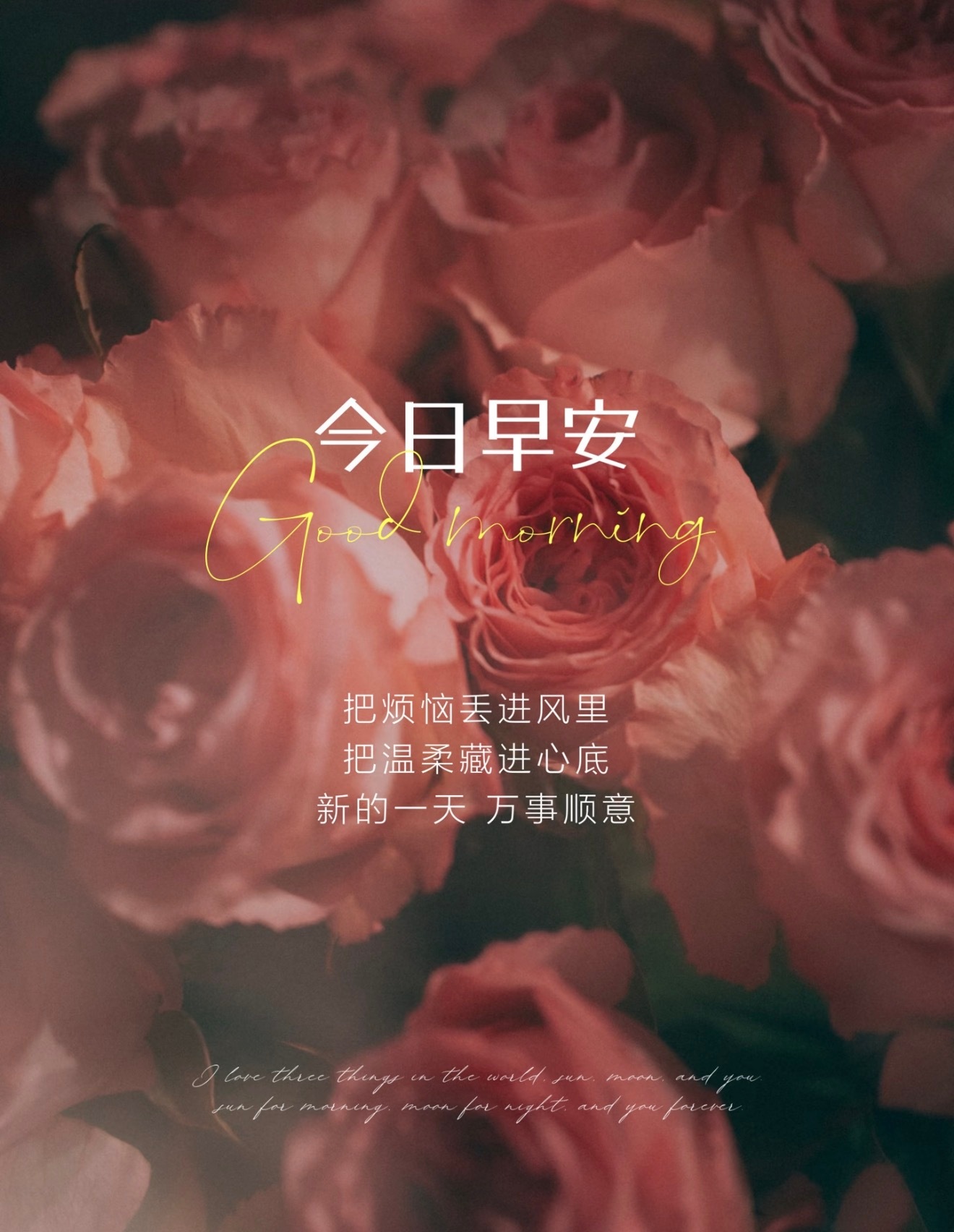 💕愿每一天醒来，都比昨天更靠近自己想要的样子。不急不躁，不慌不忙，慢慢来，你想