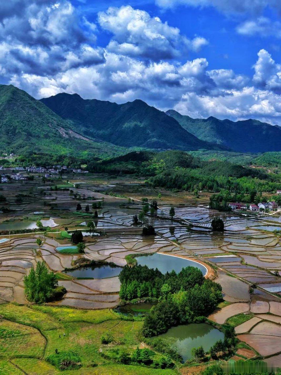 哲思呓语 ：不必匆忙，花会沿路盛开，你未来的路也是。早安 情感语录我的日常plo