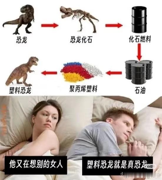 逻辑太清晰了 感觉全对了 塑料恐龙就是真恐龙！ 今日最佳 ​​​