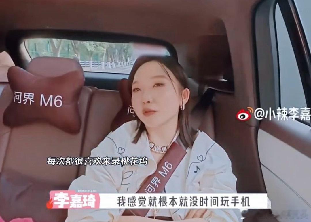 看得出来沈月李嘉琦是真喜欢桃花坞沈月李嘉琦是真喜欢桃花坞不管是热闹的集体游戏，还