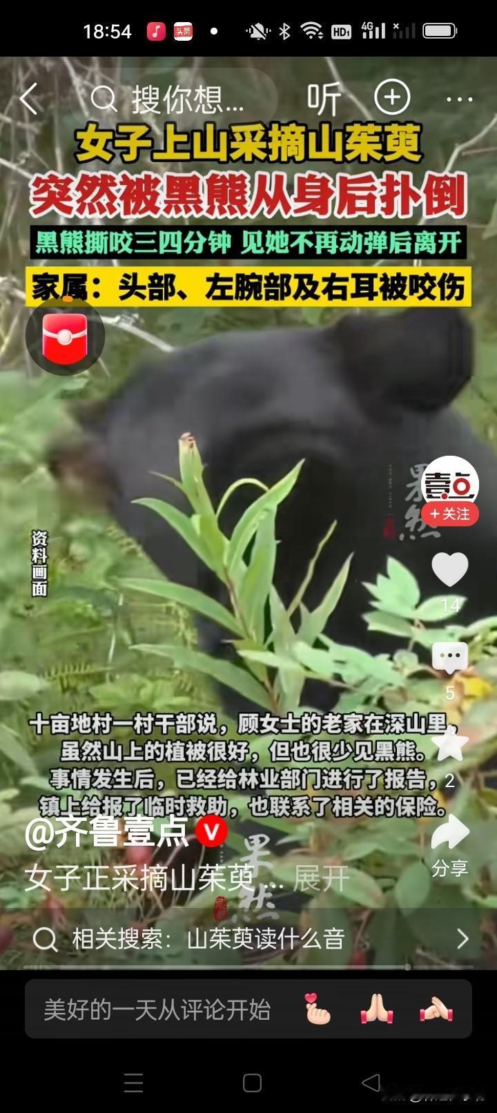 女子上山采摘，突然被黑熊从身后扑倒撕咬！11月6日，陕西西安53岁的顾女士去山里