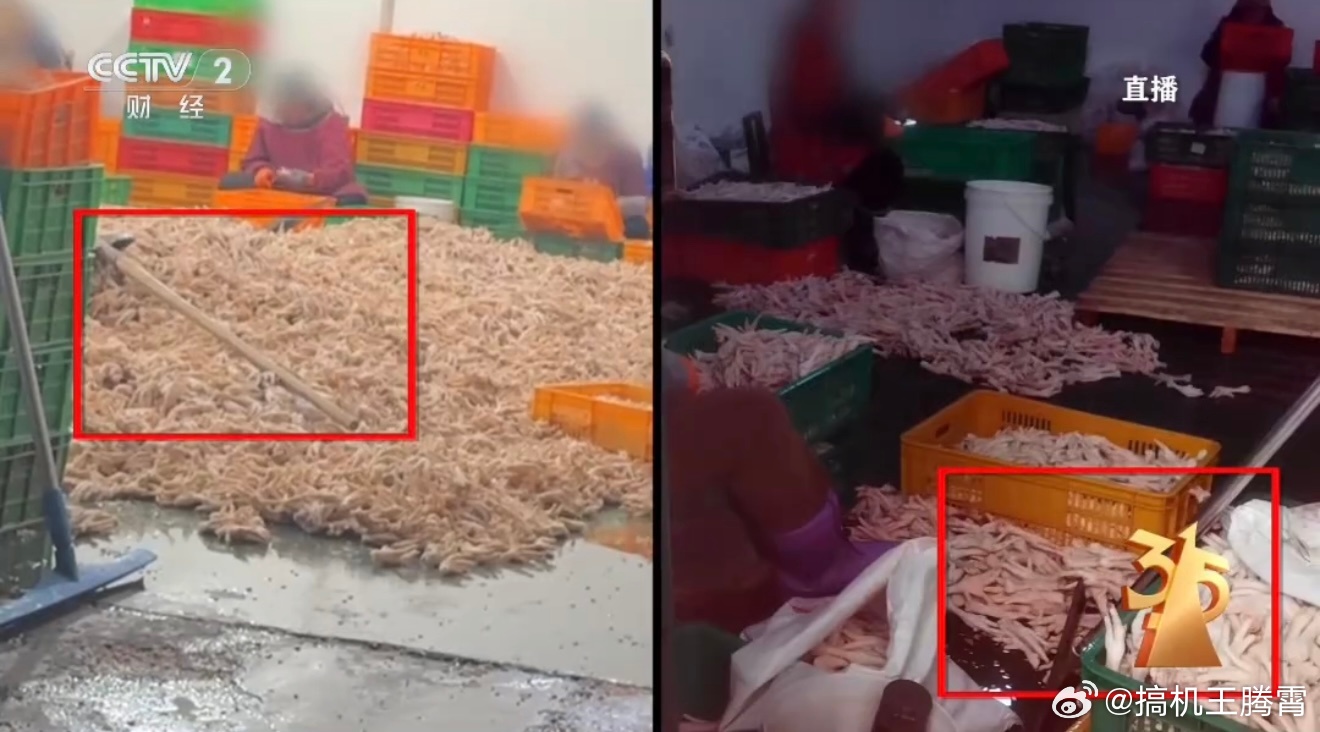 漂白鸡爪企业致歉就昨天315曝光的漂白鸡爪那事，涉事企业出来发致歉声明了，号称“