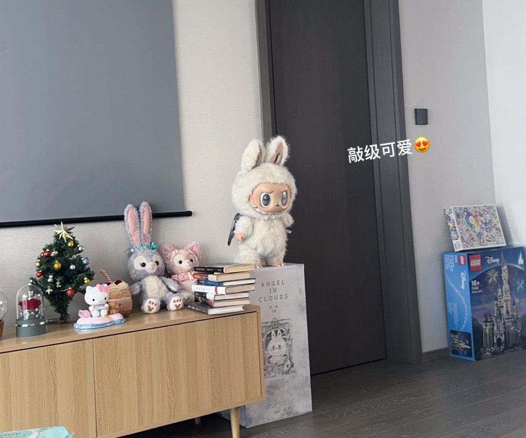 家庭新成员  成都·望江楼公园