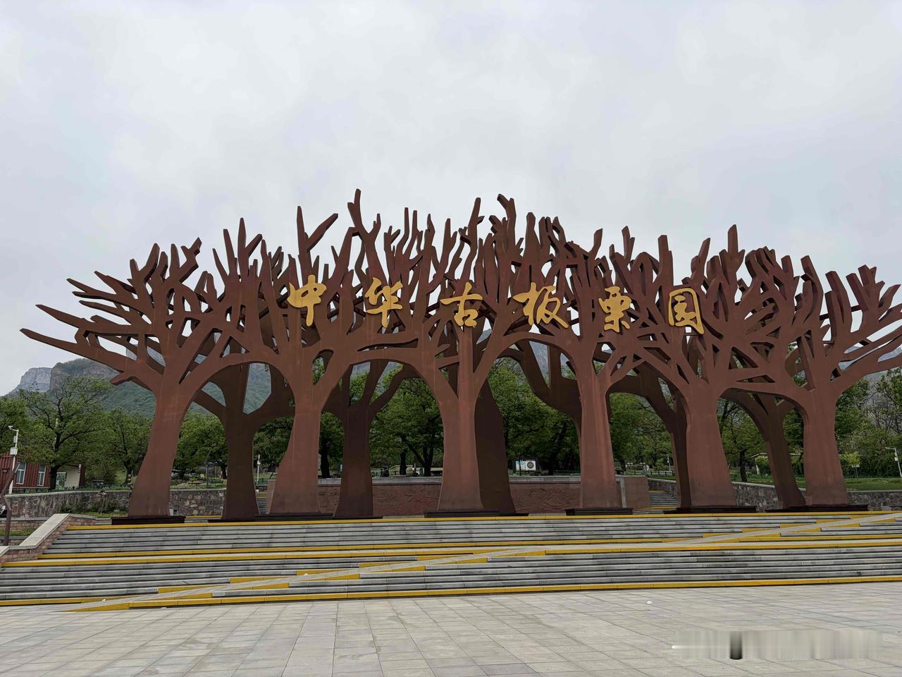 中华古板栗园：古树名木，见证岁月，感受自然之美。