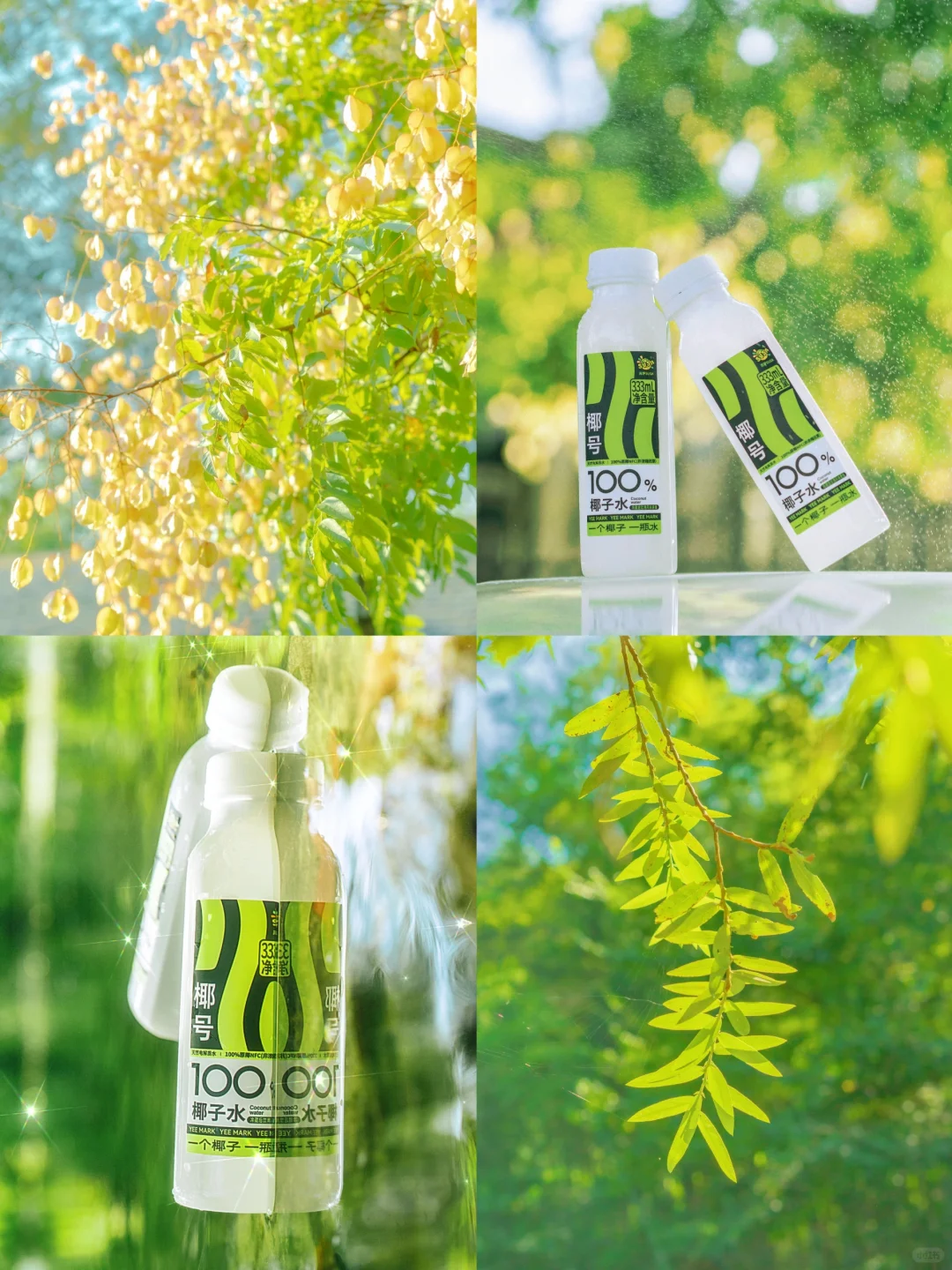 🍃｜吸收绿色能量值