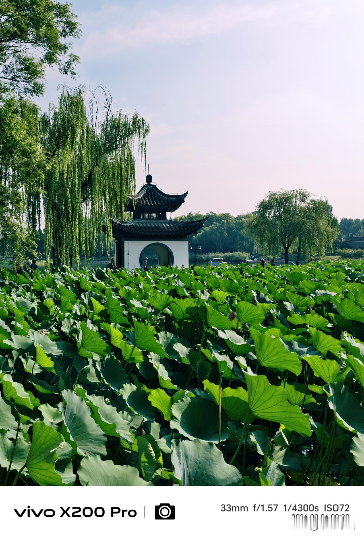 九月的北京，酷暑退去，迎来凉爽舒适的秋季，游陶然亭公园，湖光秋色，绿意盎然，随手