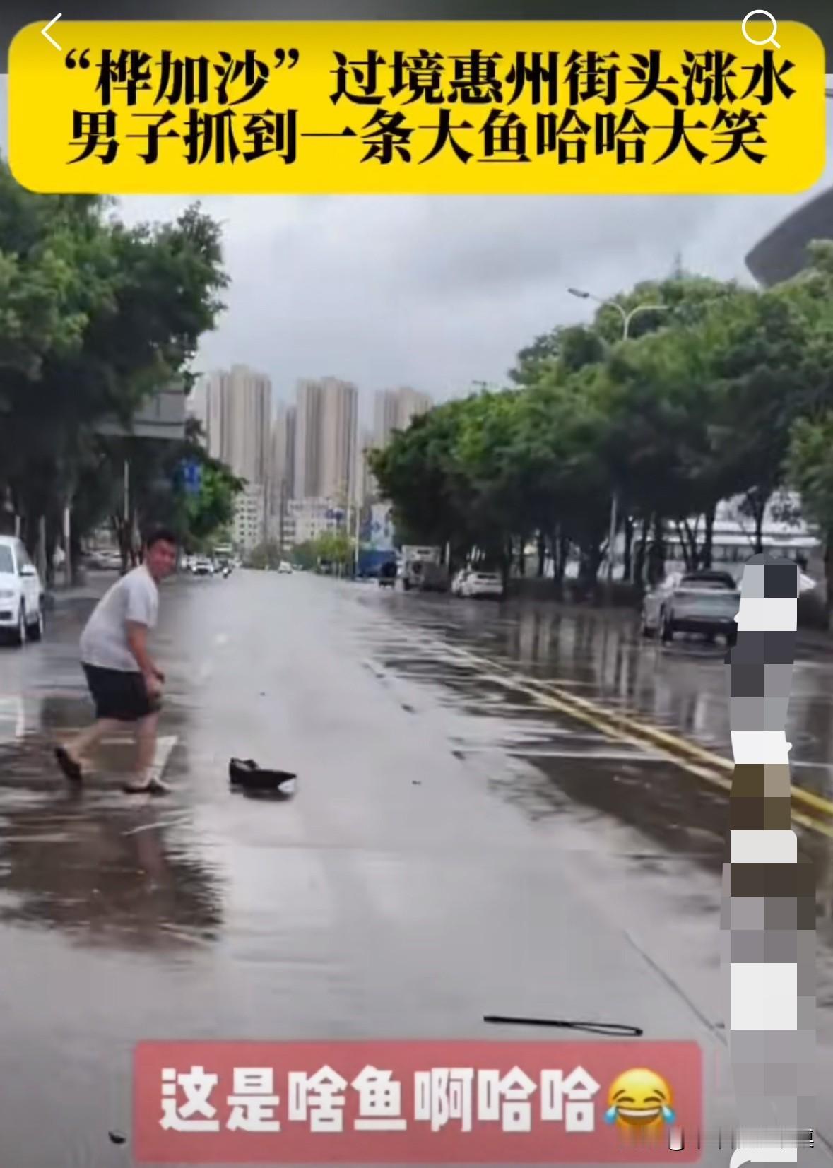 台风过境，广东惠州一男子在街上抓住了一条大鲶鱼！
我感觉这条鱼有一米长，这次能加