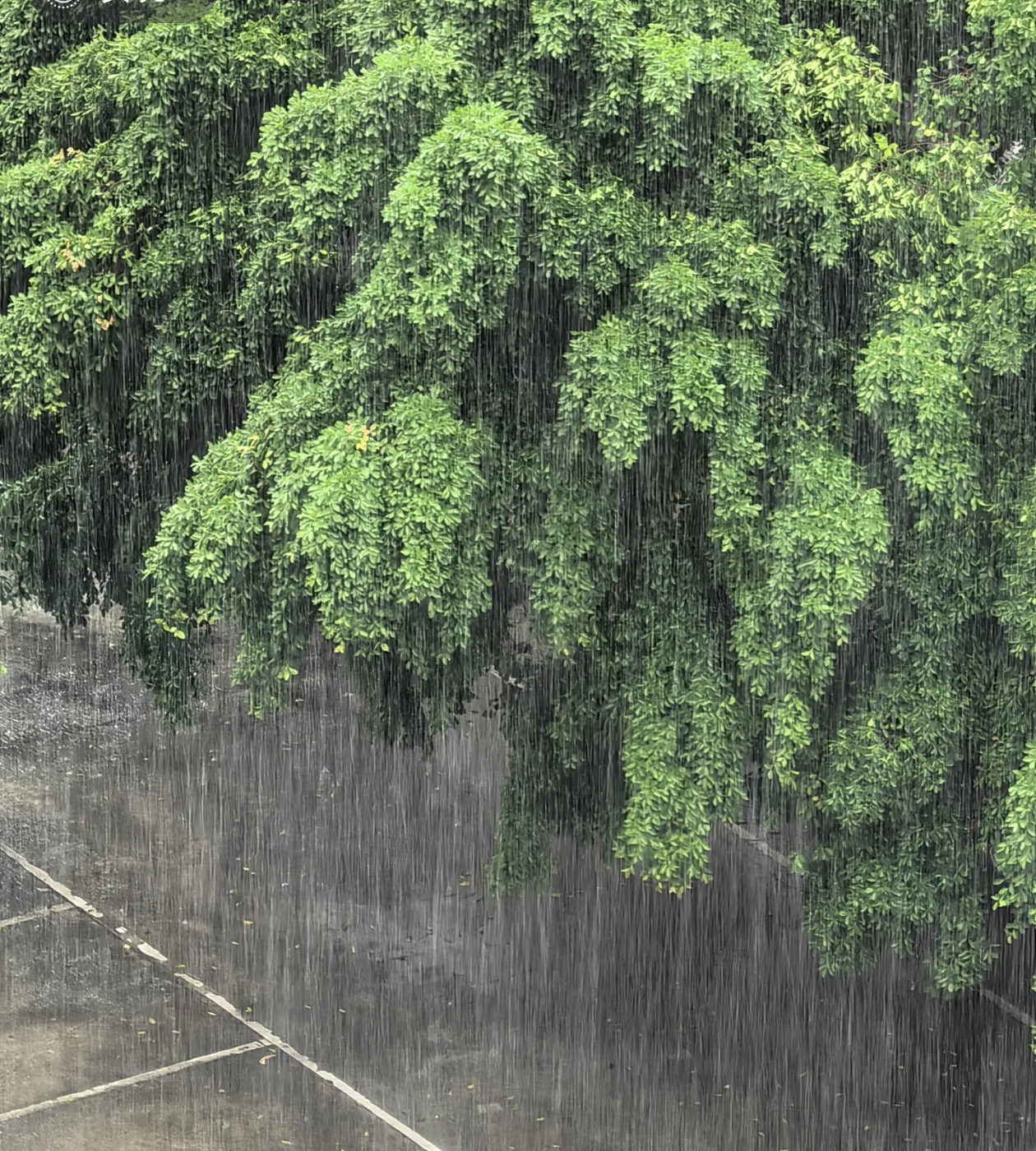 暴雨暴雨注意暴雨暴雨啥时候，我看天气预报说周六有雨，最好别上班下 ​​​