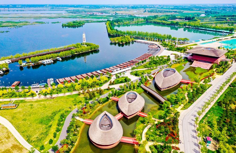 2017 年，5100 亿砸了进去，建设了一个面积相当于三个纽约市的新城 —— 
