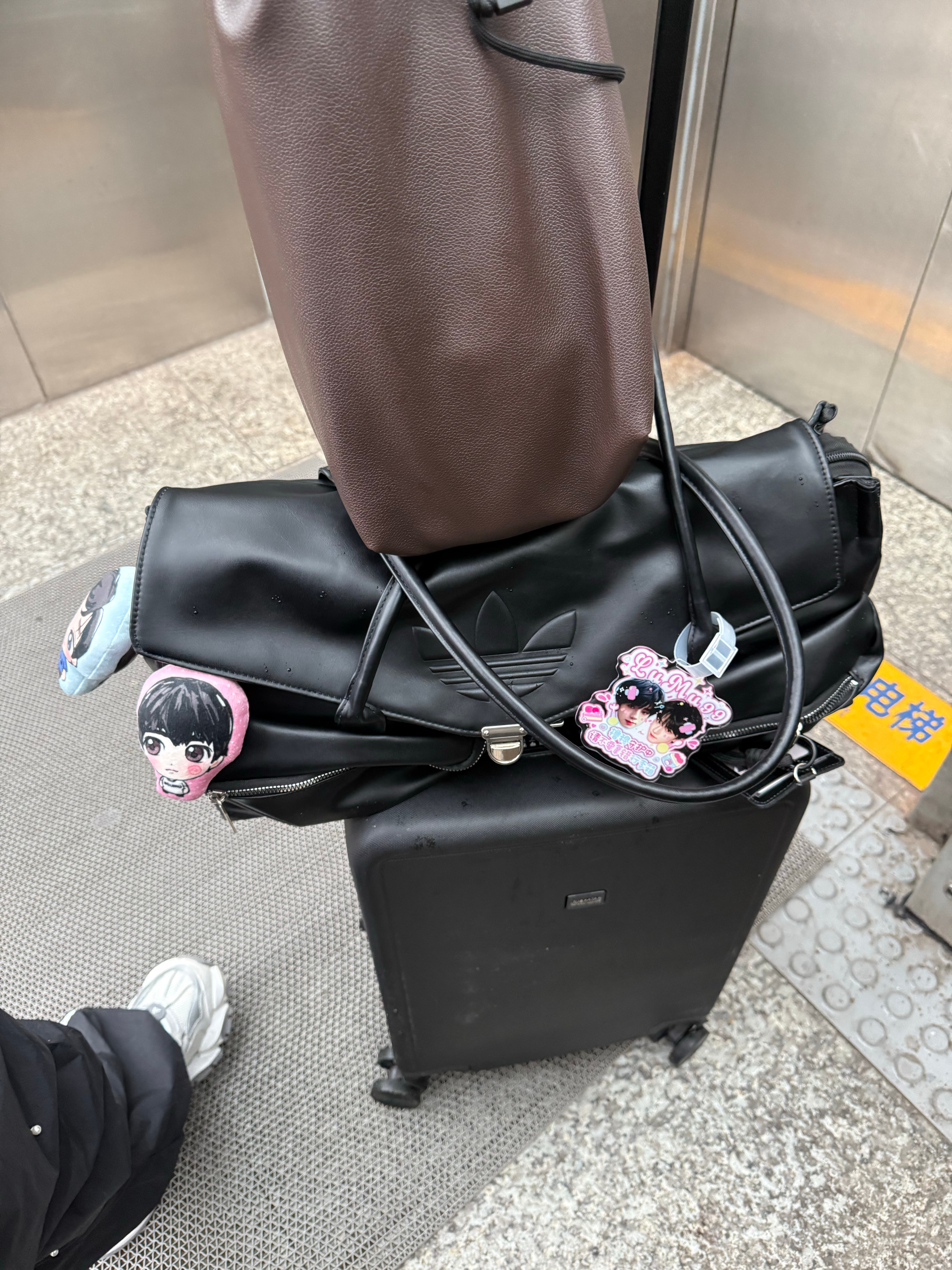 ip变变变 