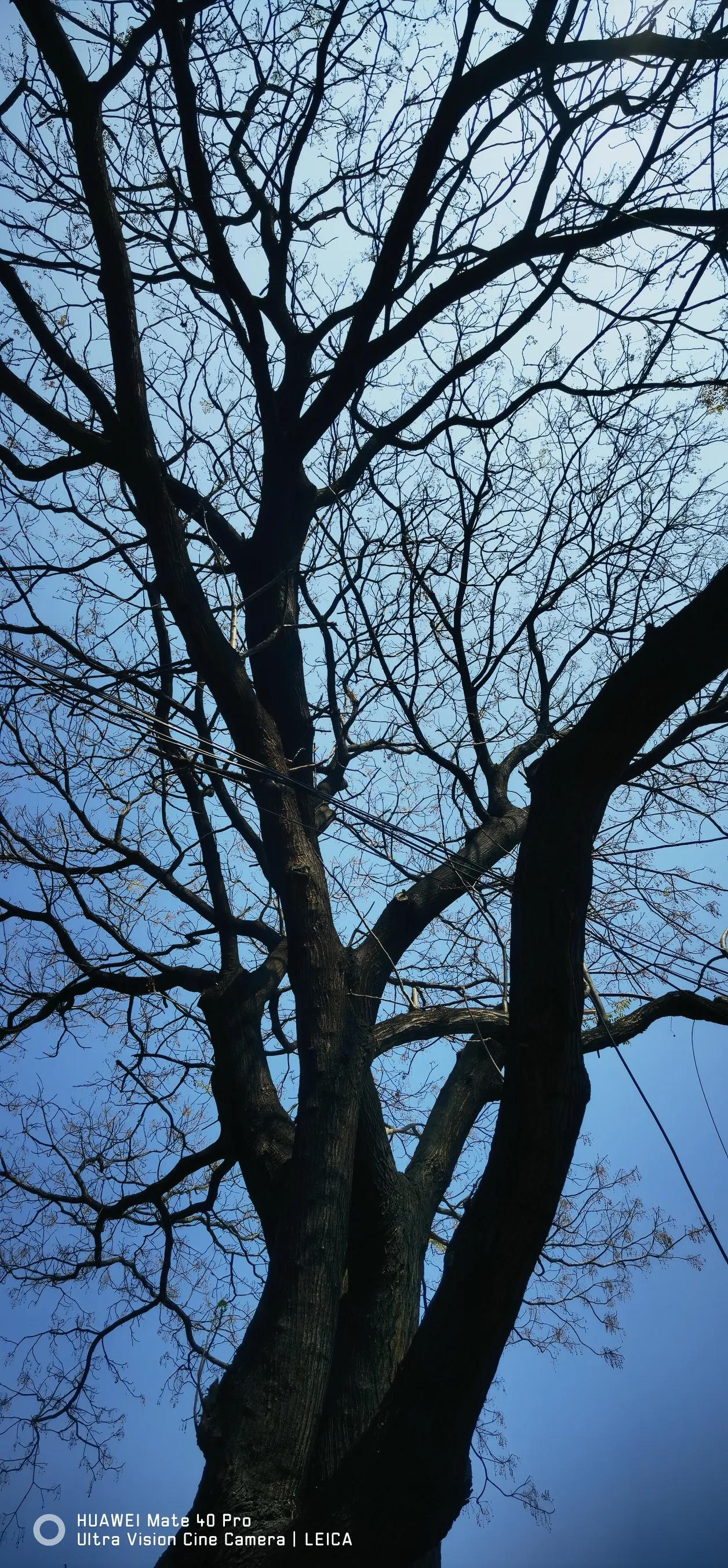 晒图笔记大赛美丽家乡