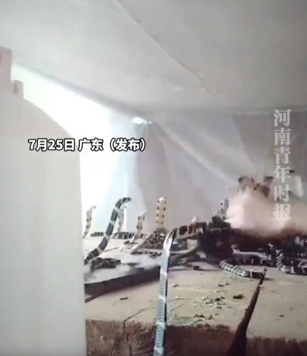 路边突然出现一条蛇，旁人见状纷纷避让，谁也不敢轻易上前。就在众人手足无措的时候，