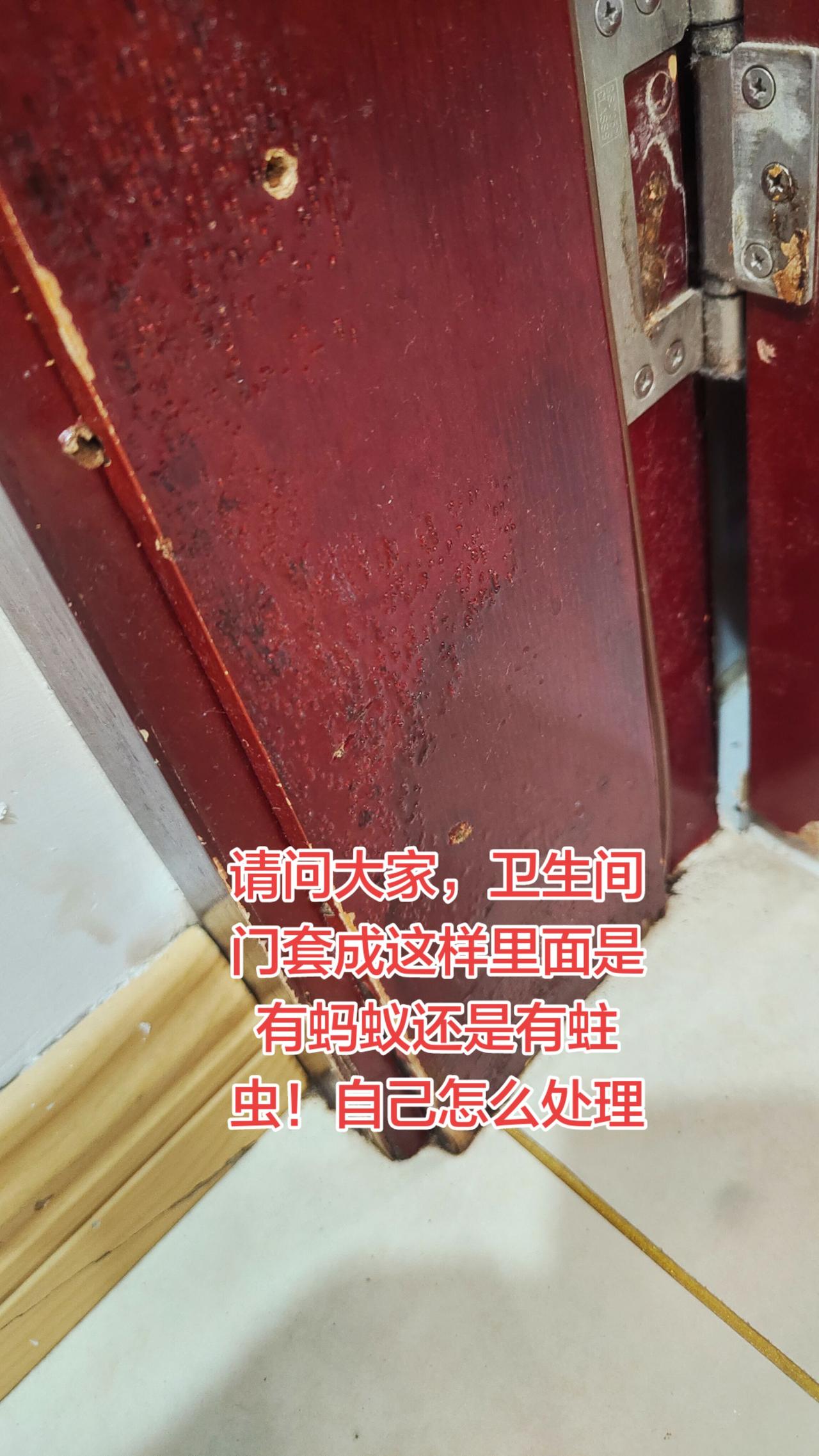请问大家，卫生间门套成这样里面是有蚂蚁还是有蛀虫！自己怎么处理谢谢。强烈推荐 维