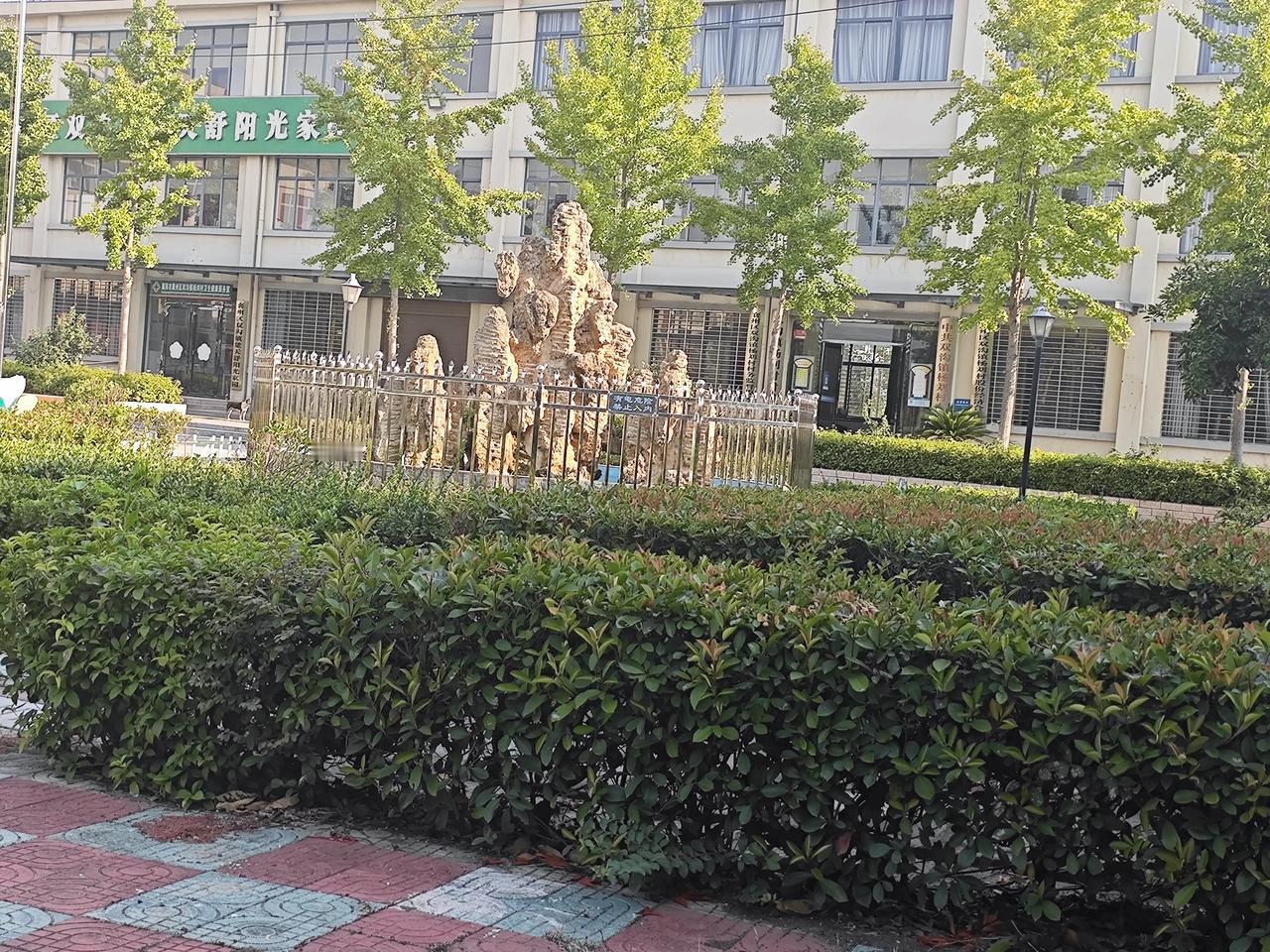 如今的教育环境里，真正容易出事的，从来不是那些躺平不管的老师，而是太负责、太较真