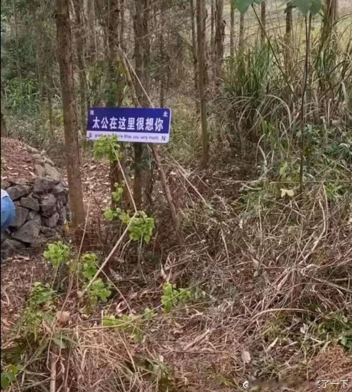 6109想你的风还是吹到了太公那里 