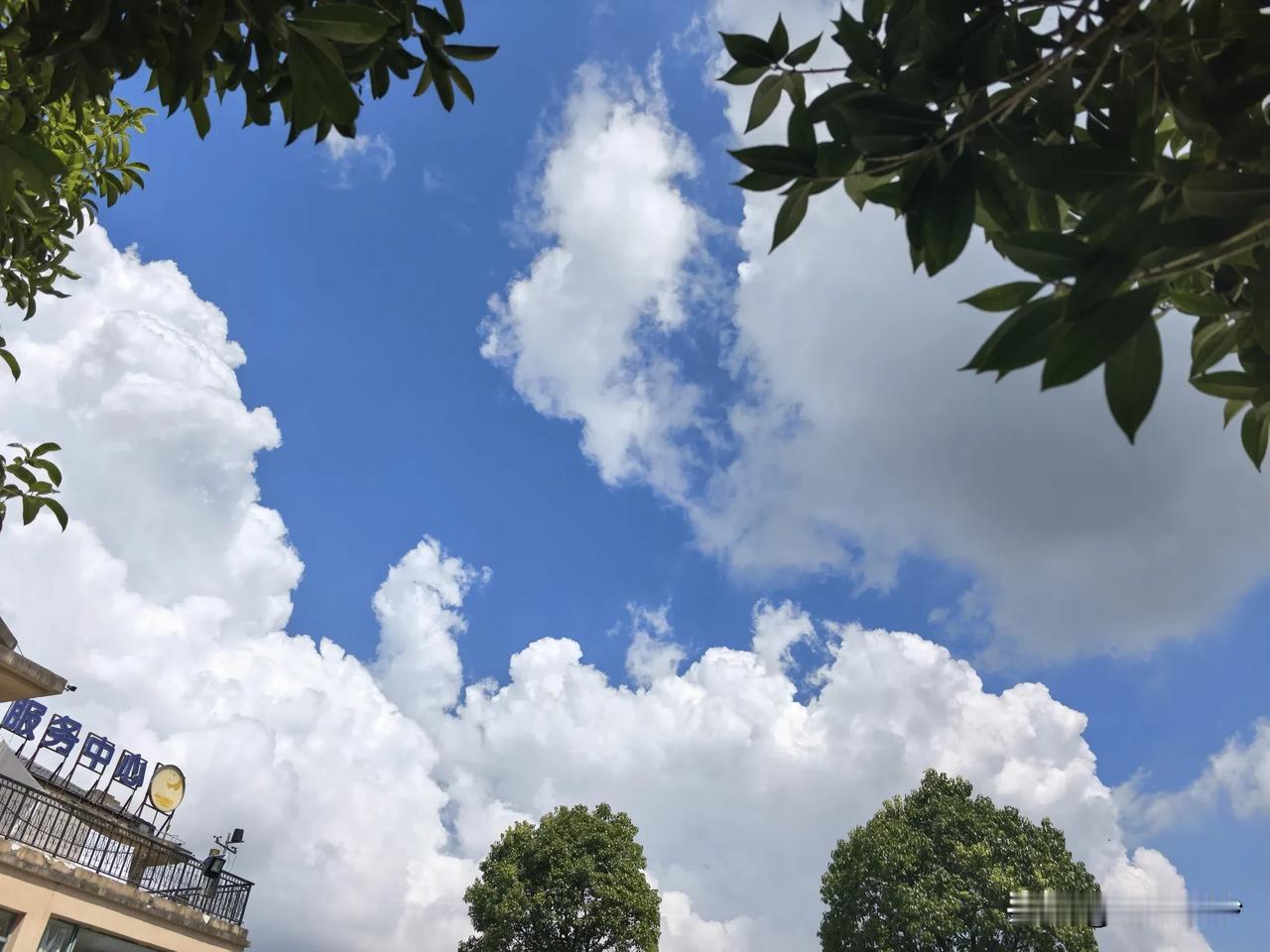 盛夏的晴空，最不缺的就是肆意翻涌的积云。它们像蓬松的巨型棉花糖，在澄澈的蔚蓝画布