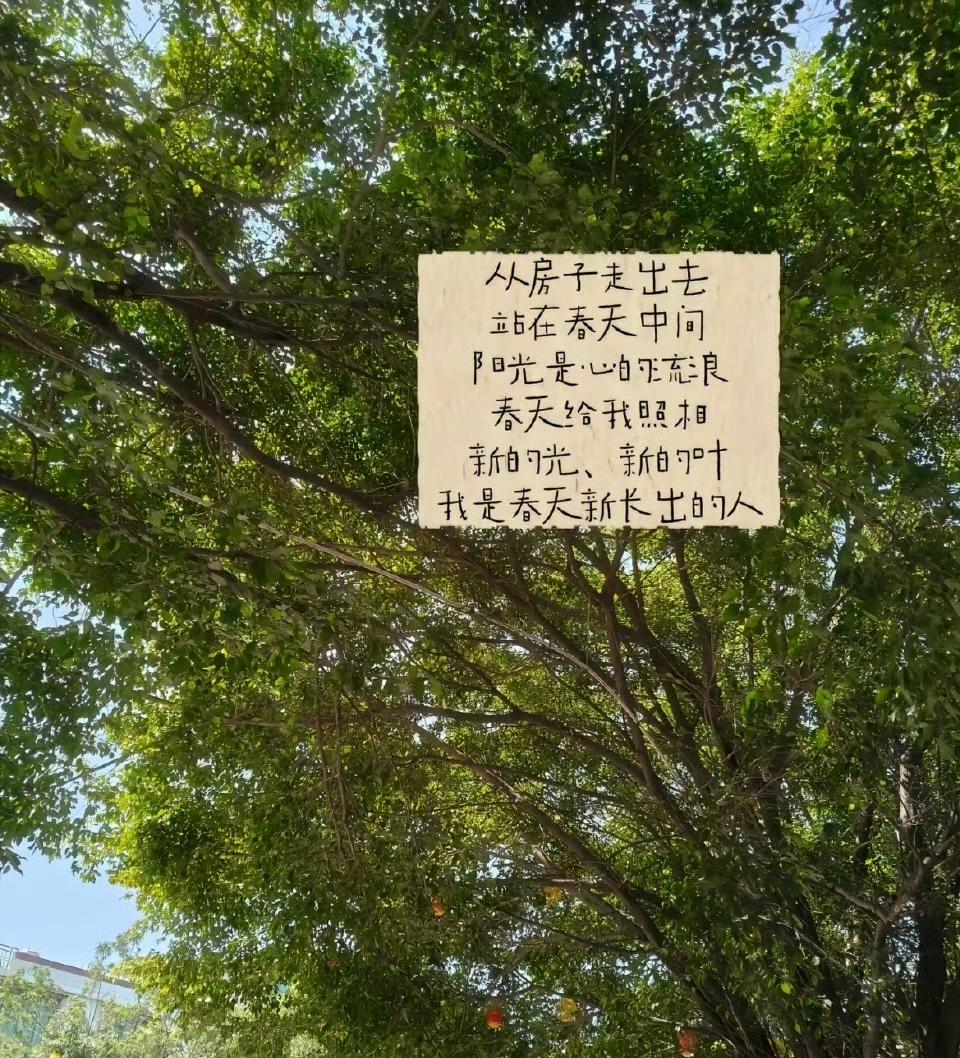 第一次读到这么鲜活有生命力的文字😭瞬间被治愈了 ​​，有目的地的人才会迷路，而