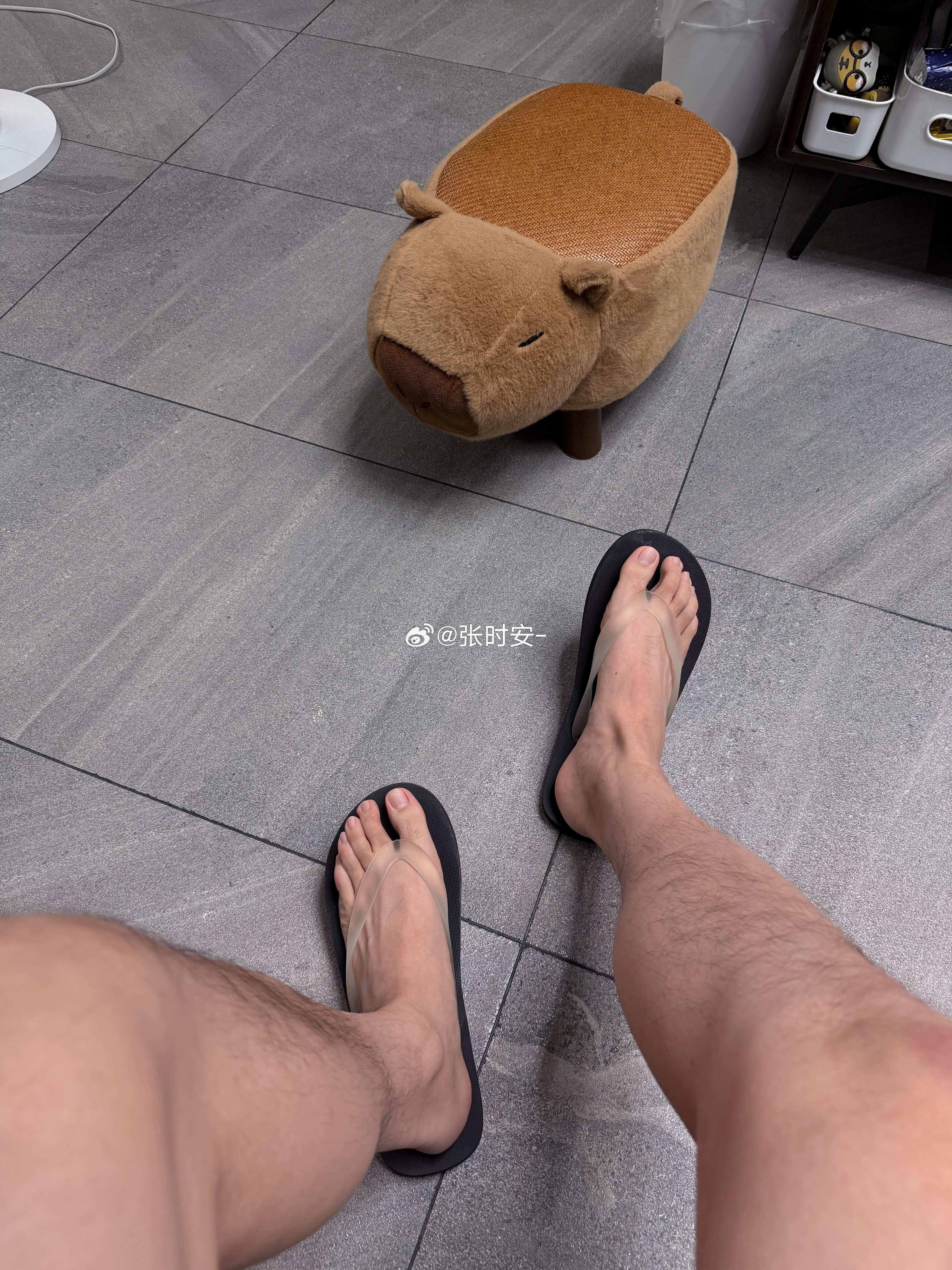 你斜眼吊炮的看着我干嘛