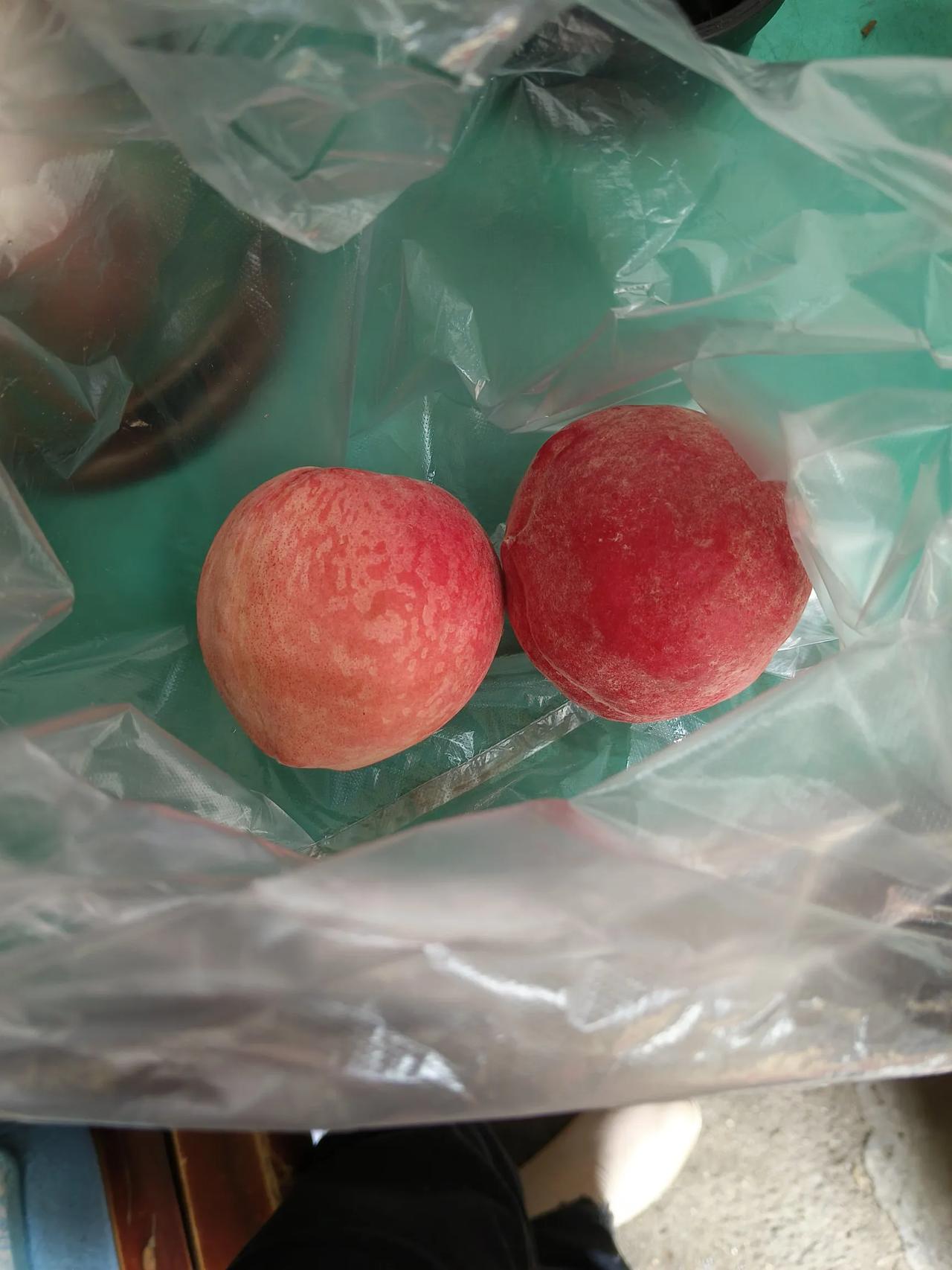 今天上午老公提了两个桃子回来，我说你怎么只买两个桃子？老公说这种桃子好，要十二块