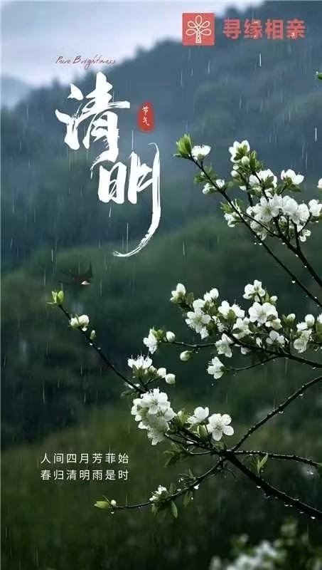 清明时节雨纷纷，路上行人欲断魂。