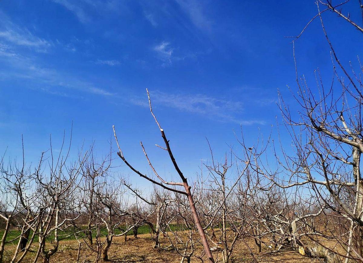 在抖音里点开热榜第七条视频，一夜没合眼的小夫妻还在客厅红着眼眶，对吵的原因是媳妇