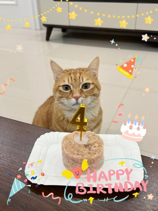四岁生日快乐🥳虾米