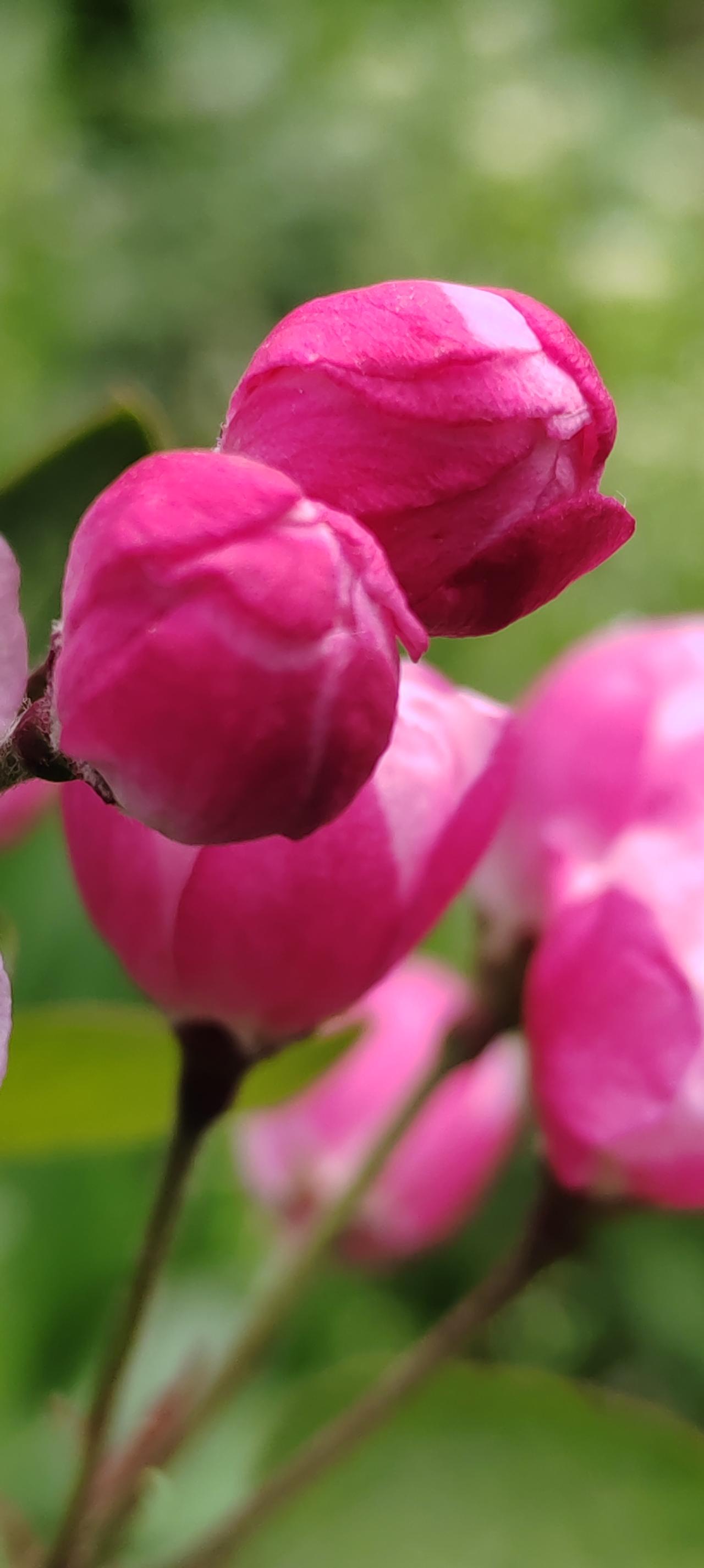 孩子，你知道老师和父母为什么逼你上高中吗？如果你考不上高中，你将会面临以下五件事