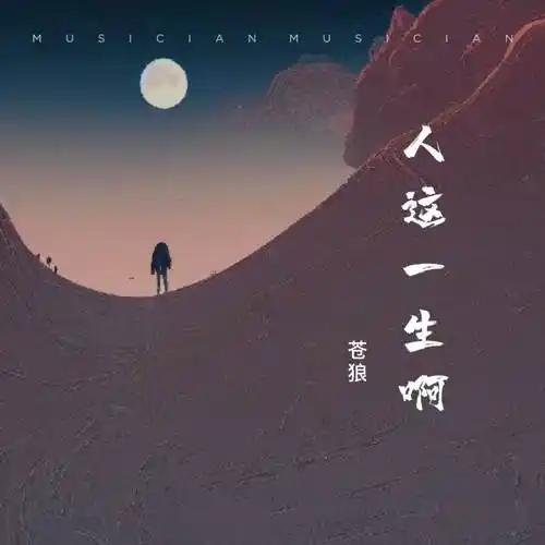人这一生，孤身前行亦能步履不停，身边少了亲友相伴，生活依旧可以正常运转。但有一种
