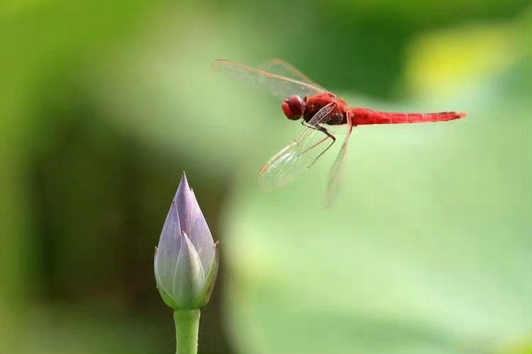 这世上所有关系，都是相互的。你给我一颗糖，我会给你一块小蛋糕，你拉我看星星，我就