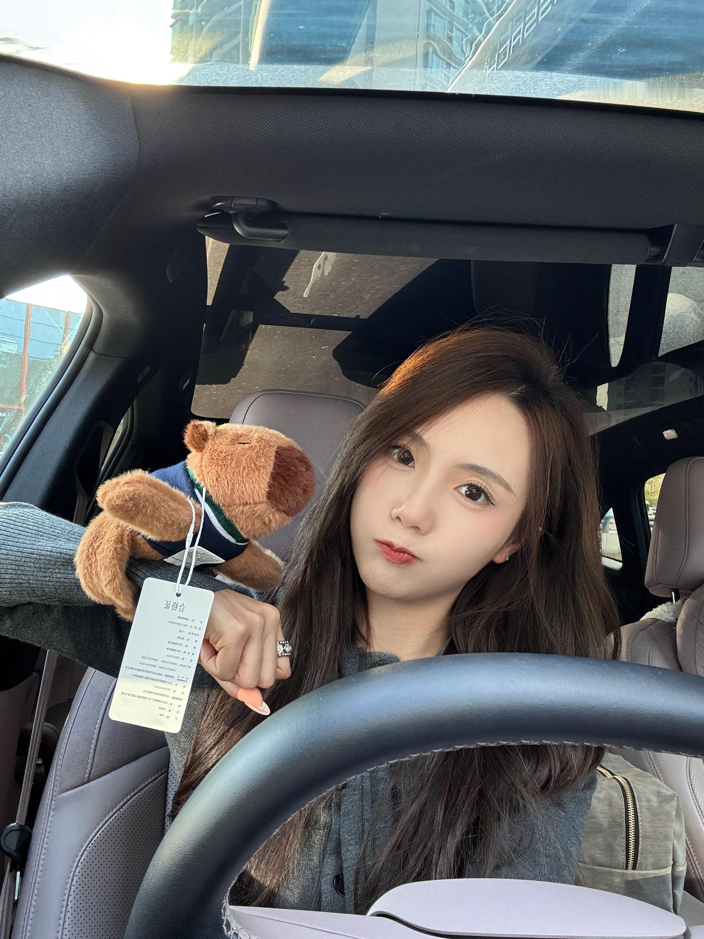 谢谢奔驰给我送的卡皮巴拉 给我送的小熊！！！送的充电宝！！！！每个都很喜欢