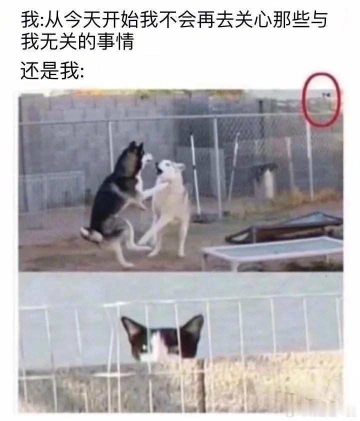哈哈哈哈哈哈哈哈哈哈哈哈哈哈哈哈哈哈哈哈烦4了你搞笑拯救职场不开心打工人当代年轻