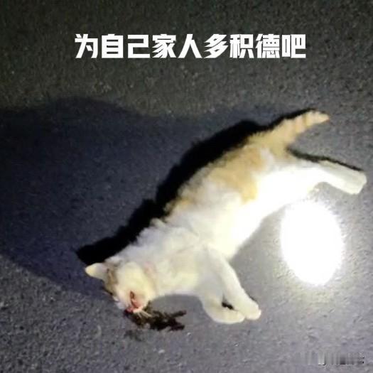 你自己贪生怕死，却拿弱小卑微的小猫小狗生命取乐，发泄？每一物种的生命只有一次，你