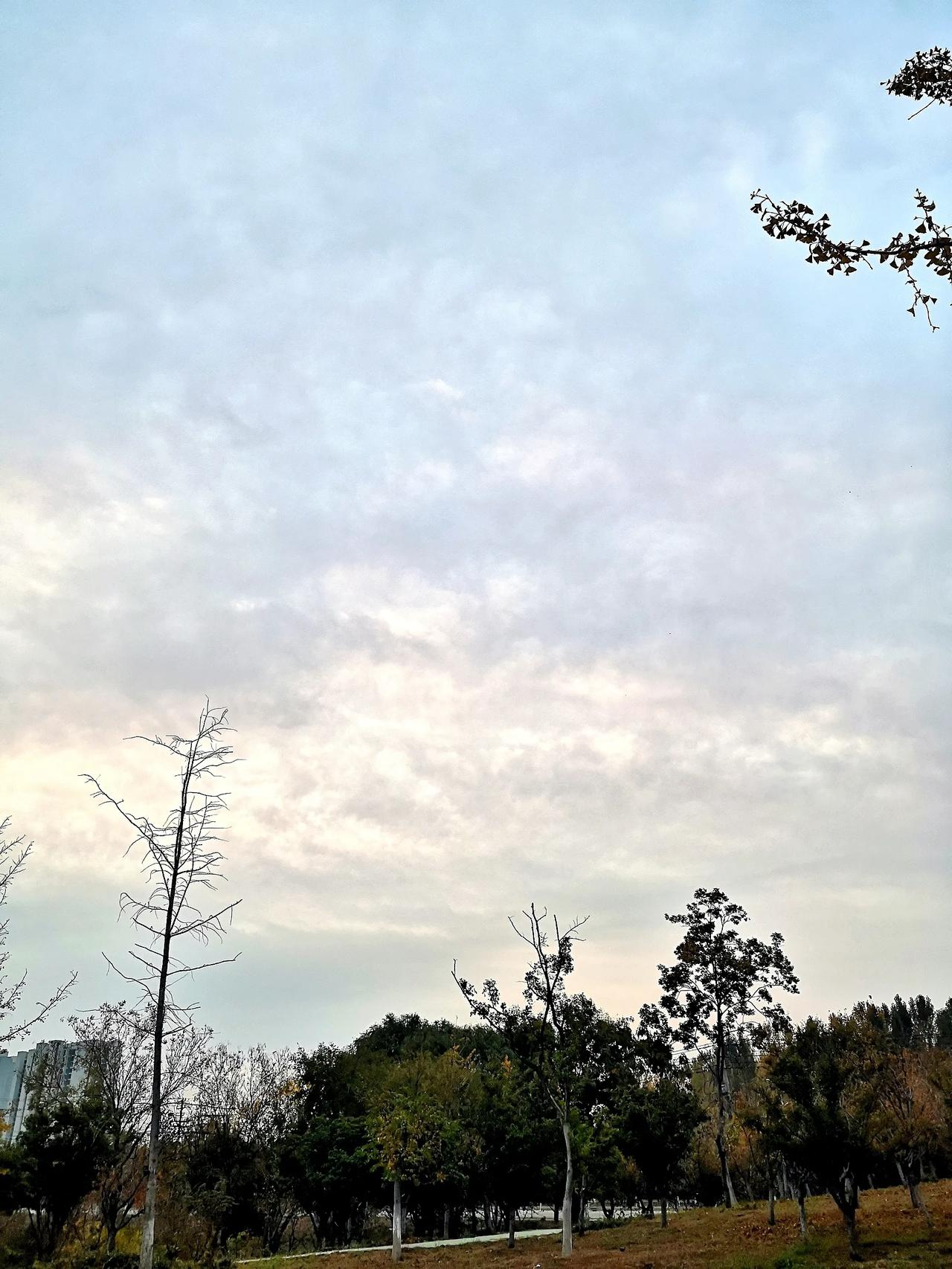 没有最满意，只有不断学习和努力！（53）——冬日清晨的云层～[笑][彩虹][微风