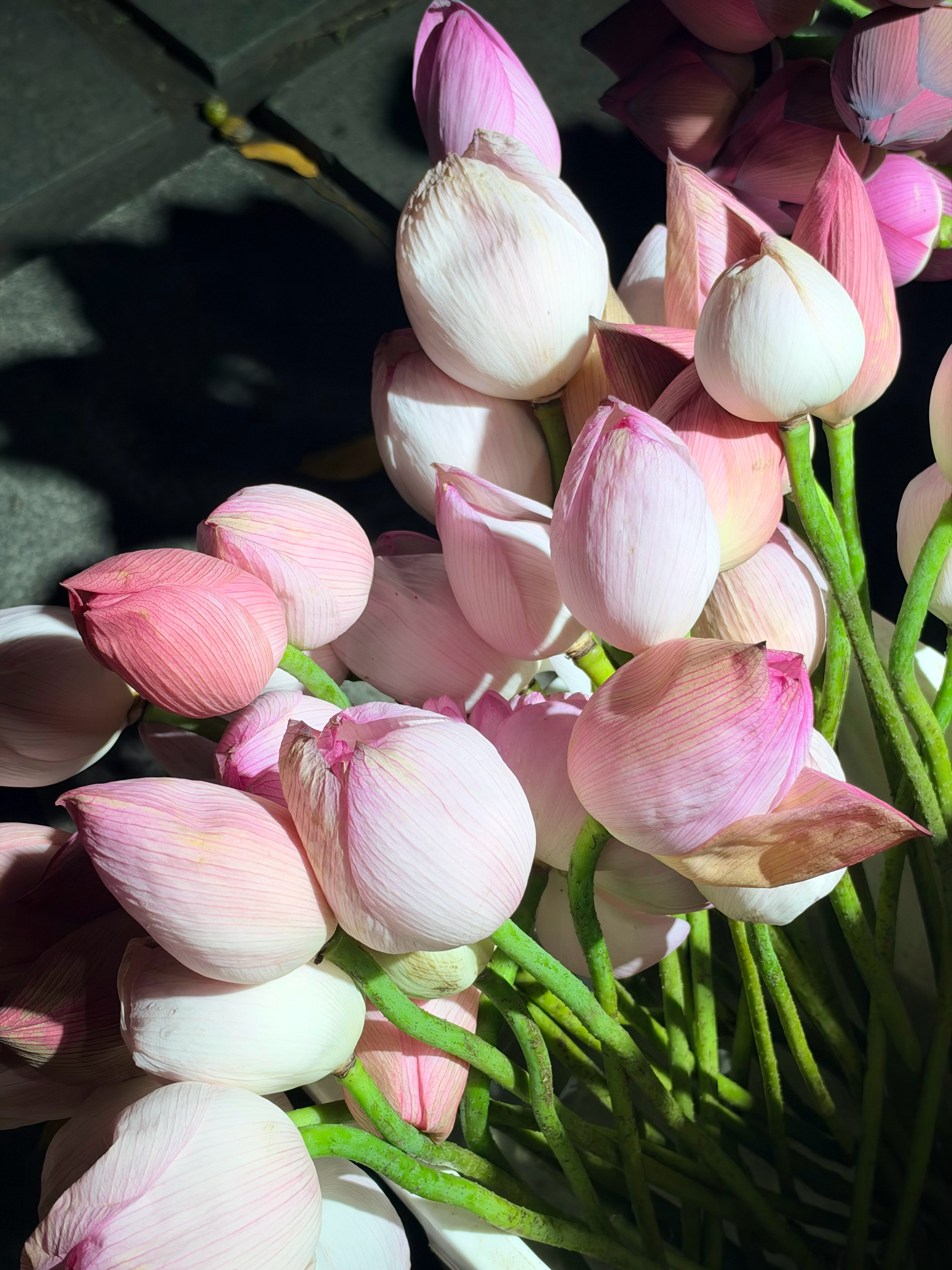 中秋节假期一下子就过去两天  ​​​